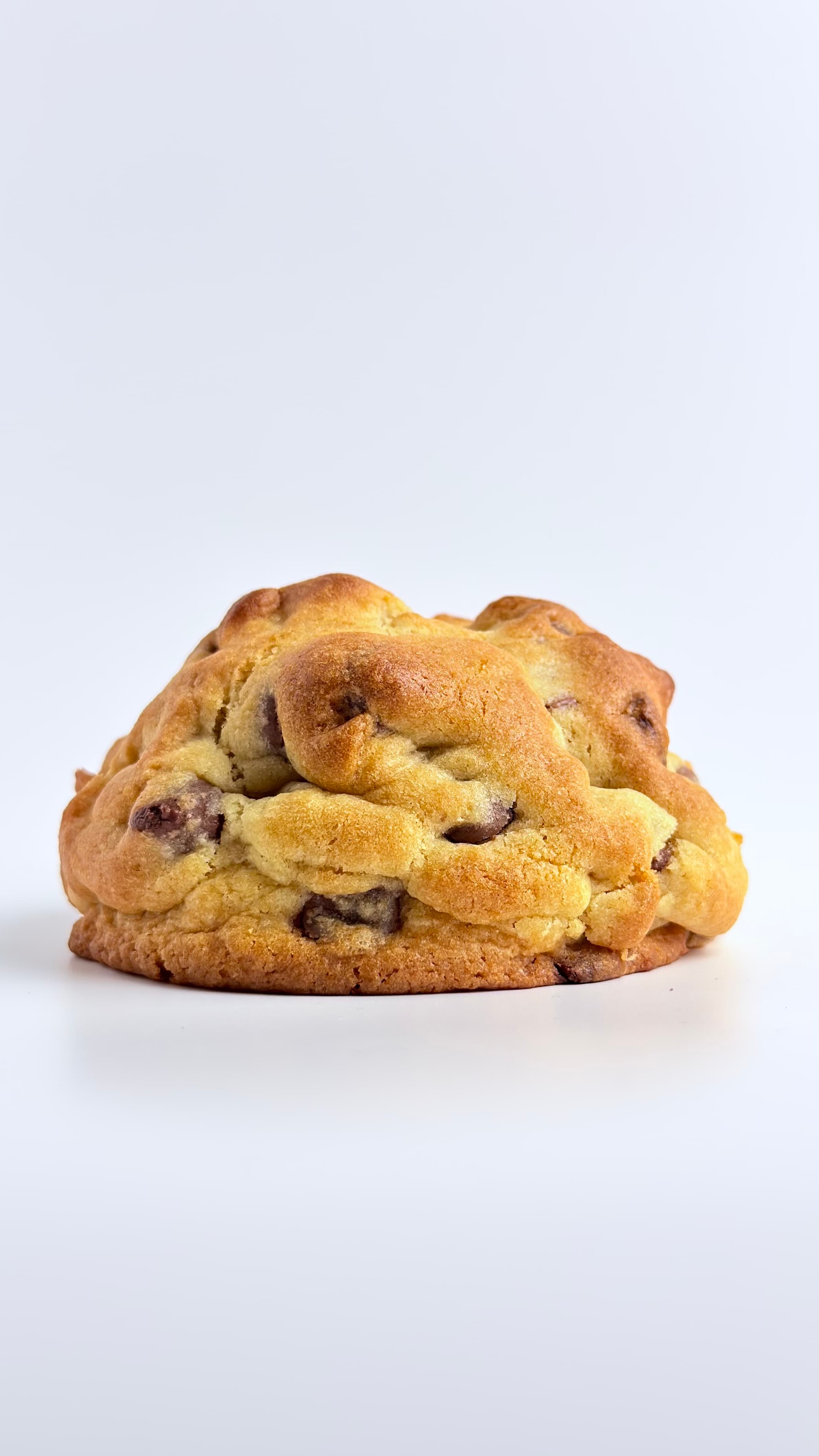 Chocolate chip